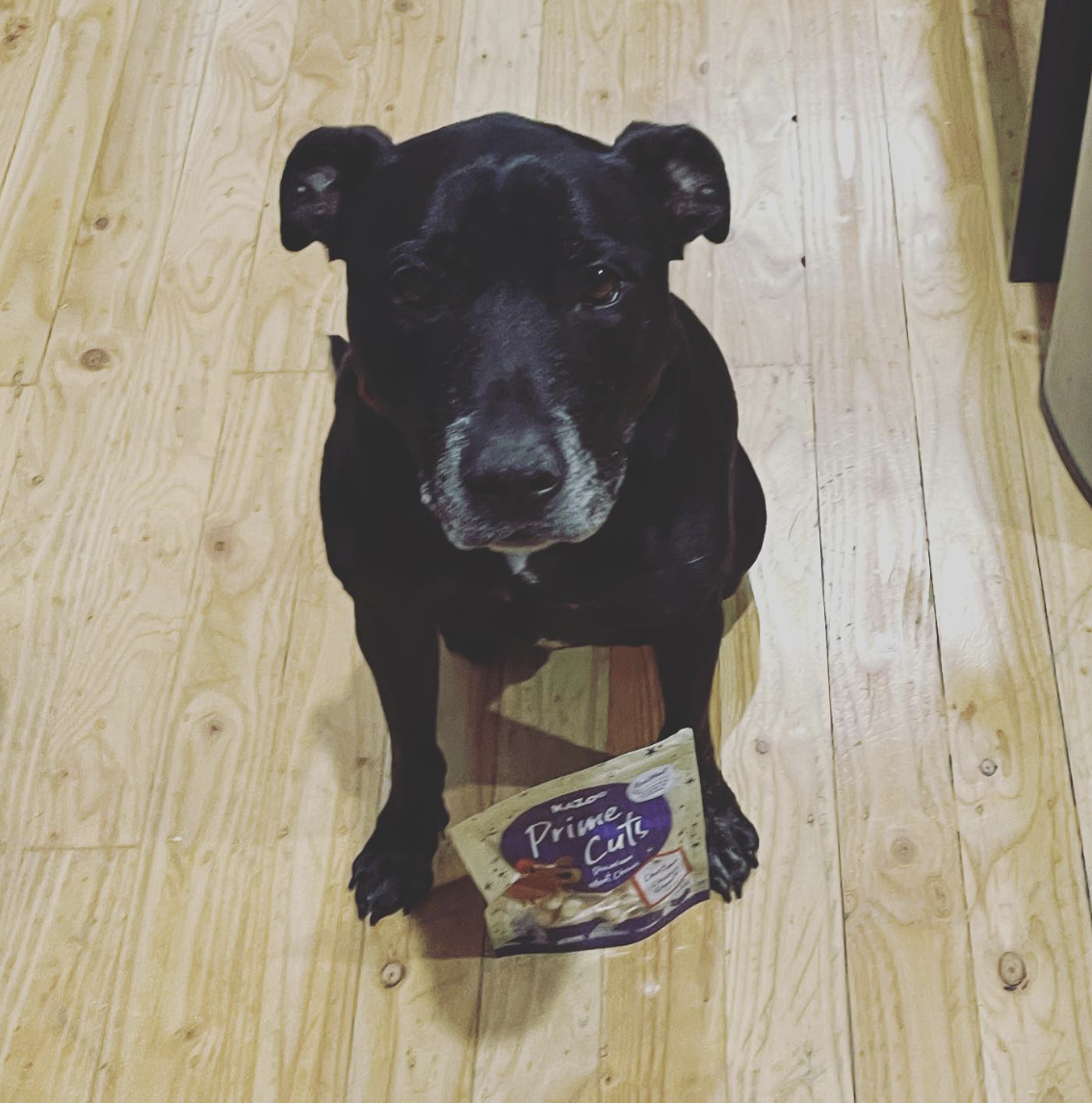 Mr Tank Official