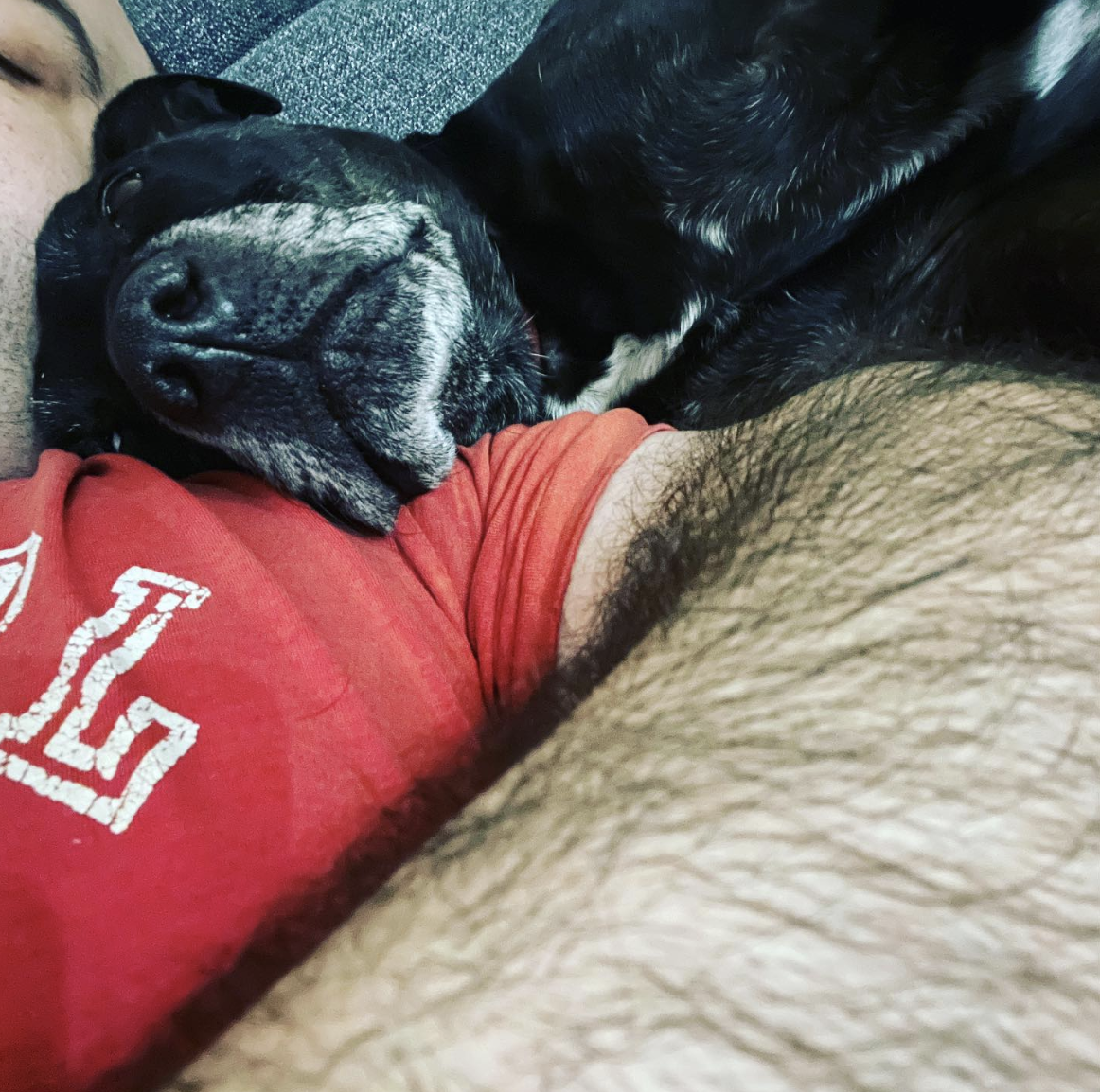Mr Tank Official